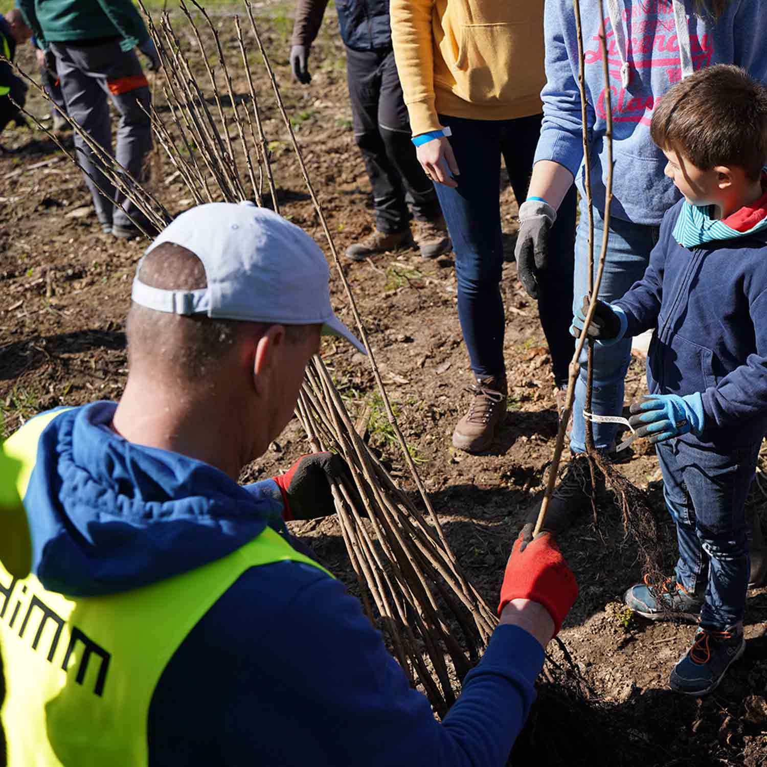 Tree planting campaign to mark the 75<sup>th</sup> anniversary of THIMM