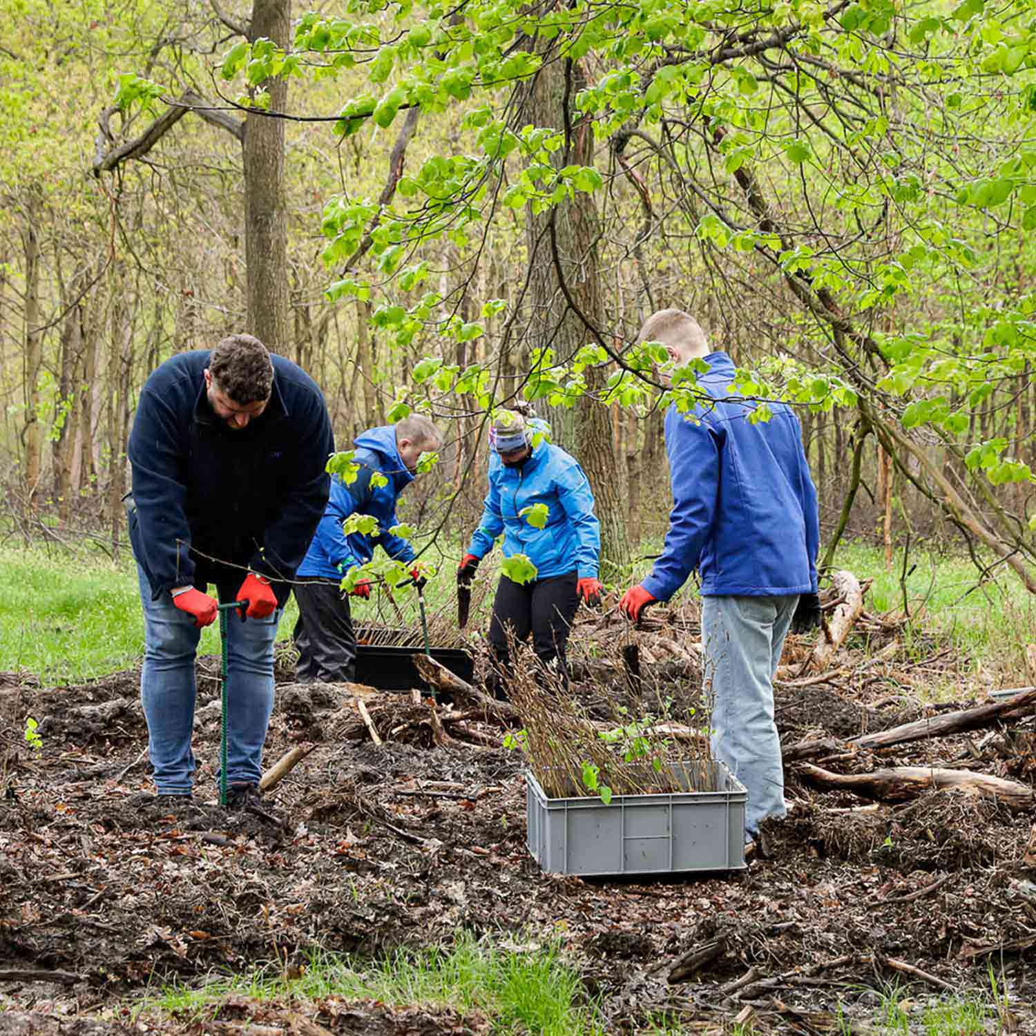 Tree planting campaign to mark the 75<sup>th</sup> anniversary of THIMM